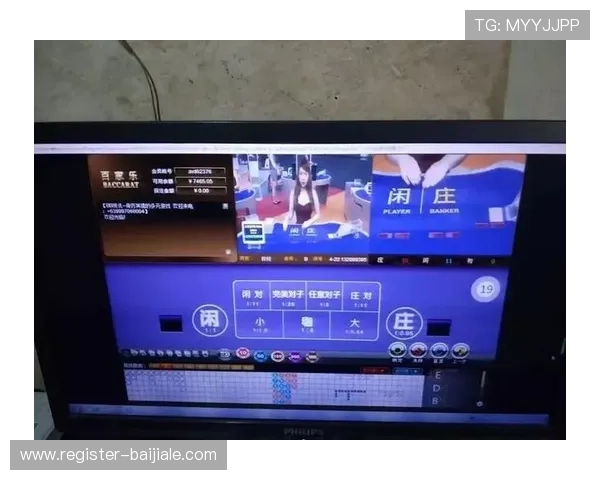 深入解析百家乐小游戏的规则与玩法,让你成为赌场中的稳赢高手